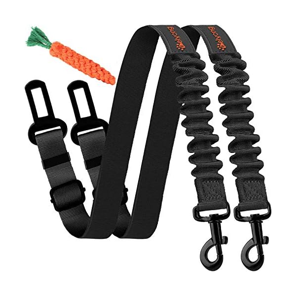 pawsafe harness