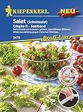 Salat Crispita II Saatband