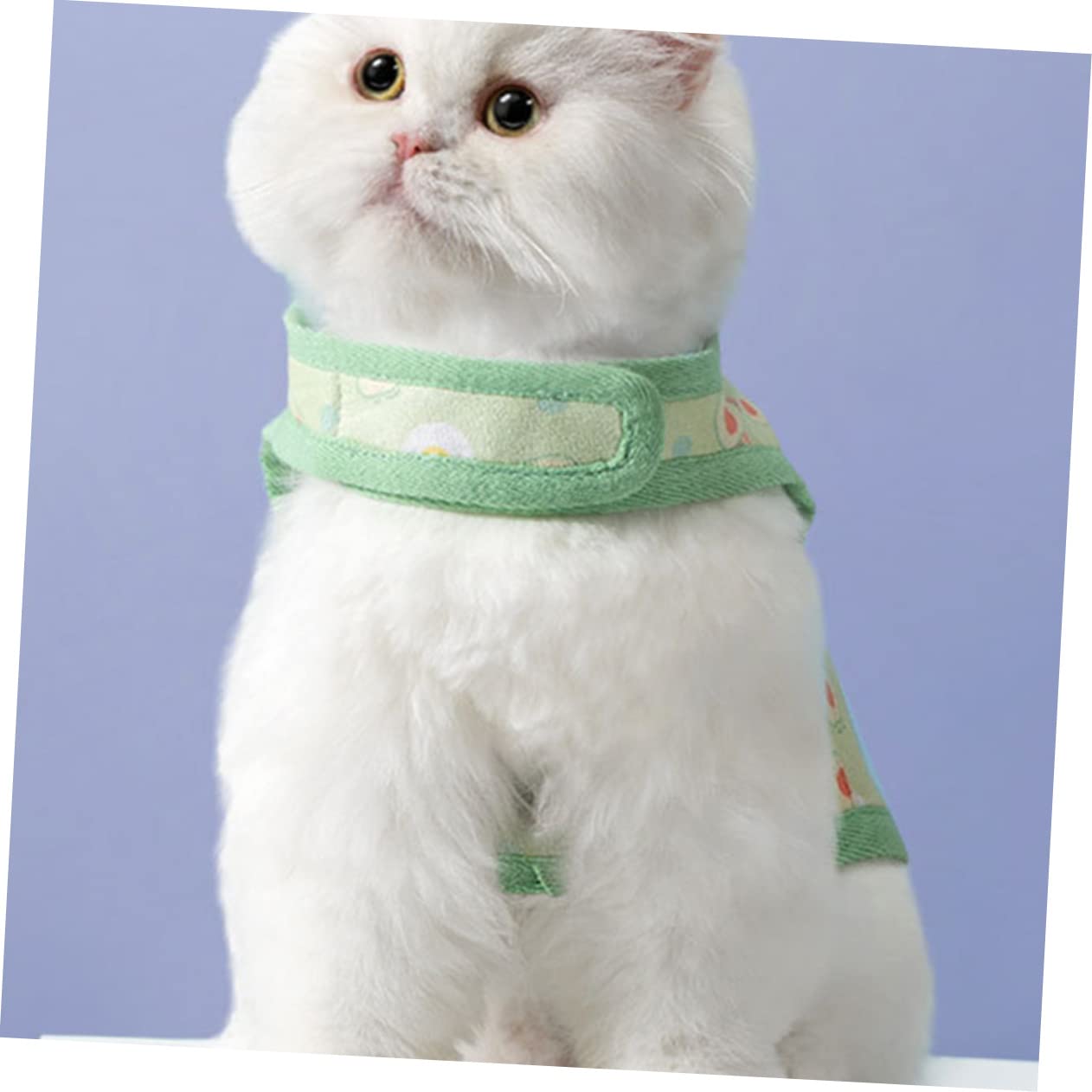 Yardwe 5juegos Arnés De para Gatos con Diseño Adorable y Cómodo para Paseos para Cachorros y Gatos De