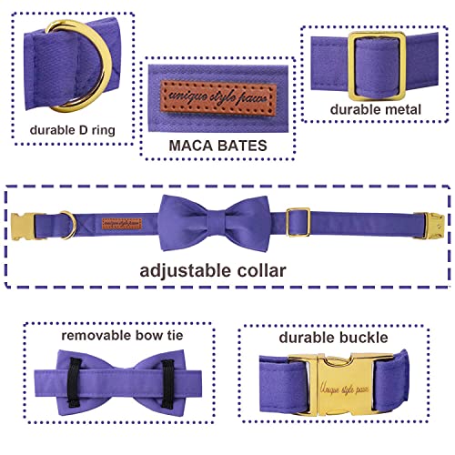 Unique style paws Dog Collar with Bowtie - Image 2