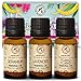Set di oli essenziali 3x10ml - Ylang Ylang - Geranium Bourbon - Olio essenziale di lavanda - 100% puro e naturale per aromaterapia - Perfetto per i diffusori - Bruciatori e umidificatori - Bellezza