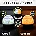Paladone Minecraft Officially Licensed Creeper & Steve Projector Night Light, Gamer Projection Lamp Accessory, Minecraft Sounds, Gaming Bedroom Decor for Kids Mood Lighting with 4 Projector Sheets