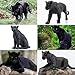 Toymany 7PCS Black Panthers Figurines with Panther Cub and Tree Trunk, Realistic Jungle Animals Figures Family Playset, Educational Toy Cake Toppers