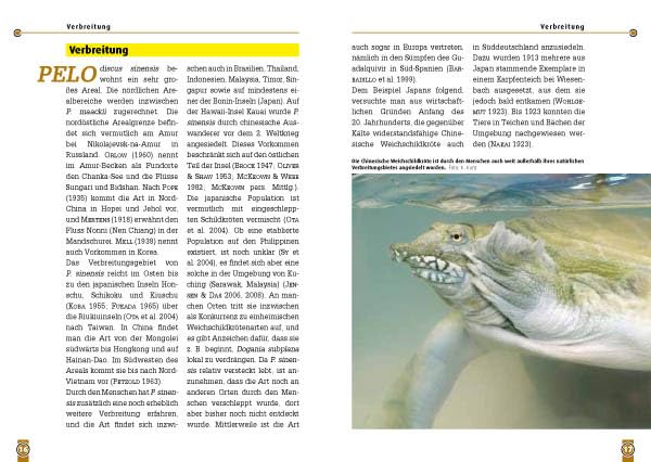 Die Chinesische Weichschildkröte: Pelodiscus sinensis (Buchreihe Art für Art Terraristik)