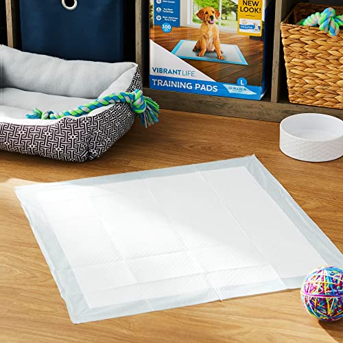 Pet All Star Training Pads 100 Count - Thumbnail 2