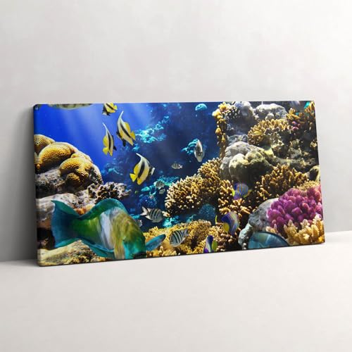 Tableau photo sur toile récif de corail pour s'évader au quotidien