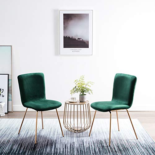 Art Leon Velvet Chairs, Mid Century Upholstered Kitchen Dining Chairs with Gold Metal Legs, Set of 2, Green