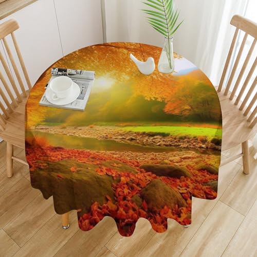 Nappe de table ronde imperméable 152cm pour protéger la table des taches