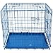 Blue Dog Cage Puppy Metal Training Pet Crate Carrier XS S M L XL Easipet (24