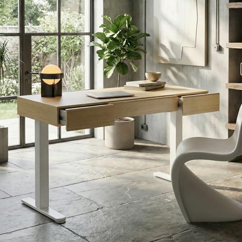 Image of ErGear Standing Desk with 3 Drawers, 48 Inch Electric Adjustable Height Desk with Storage, Whole-Piece Board Stand Up Desk for Home Office