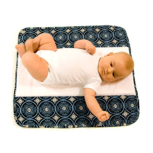 Ah Goo Baby The Plush Pad Portable Travel Changing Pad with Memory Foam, Blueberry Pattern
