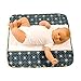 Ah Goo Baby The Plush Pad Portable Travel Changing Pad with Memory Foam, Blueberry Pattern