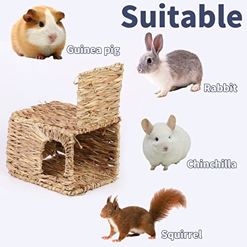Hamiledyi Grass House For Rabbit,2Pcs Natural Hand Woven Seagrass Play Hay Bed Foldable Woven Hideaway Hut Toy For Bunny Hamster Guinea Pig Chinchilla Small Animals #TOP5