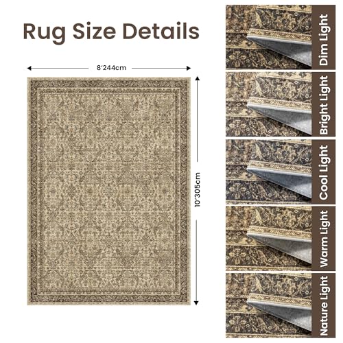 Rugland 8x10 Area Rugs - Stain Resistant Washable Rug, Anti Slip Rugs for Living Room, Vintage Tribal Area Rugs(Vintage01-Brown, 8'x10')