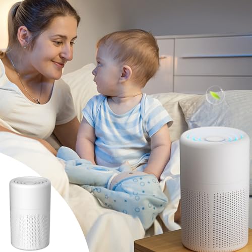 2025 New Home Purifier Auto Mode Silent