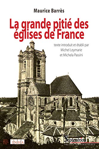 Télécharger La grande pitié des églises de France: Texte introduit et établi par Michel Leymarie et Michela P Gratuit