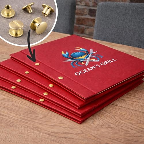 KLEBESHOP24 Buchschrauben vermessingt oder vernickelt verschiedene Größen, 20, 50, 100 oder 1000 Stück / 3,5 mm, 20 Stück, vermessingt