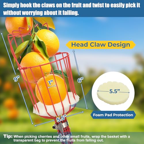 Herramienta Cosechadora Frutas 75" Alcance Largo miniatura 6
