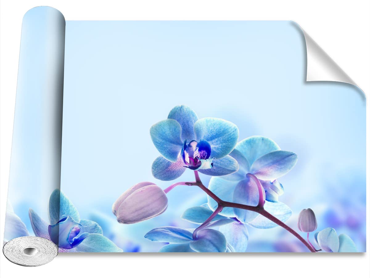 Papier Peint Orchidées Tropicales Grand Format Décoration Murale Tulup