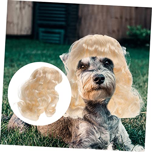 Peluca para perro disfraz para mascotas Halloween miniatura 3