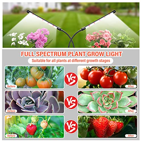 Bseah Grow Light Plant Lights For Indoor Plants, 84 Leds Full Spectrum Clip Plant Growing Lamp, 10-Level Dimmable, Auto On Off Timing 3 9 12Hrs #TOP4