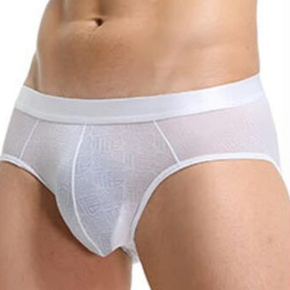 2pcs Soft Comfortable Underwear Ice Silk Sheer Transparent Mesh Men's Briefs Printed Shorts (Color : White, Size : L)