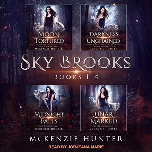 Book cover for Sky Brooks: Books 1-4