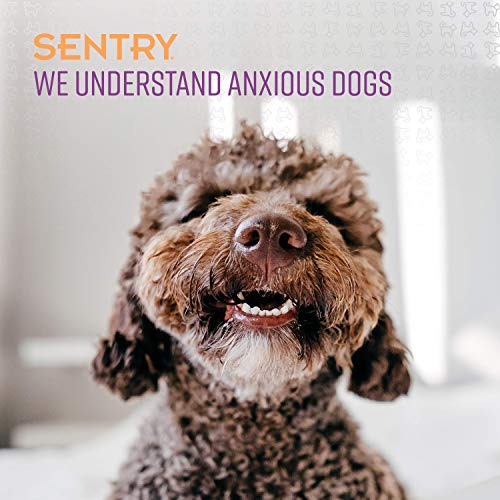 Sentry Pet Care Stop That! Behavior Correction Spray for Dogs, Easy Spray Application, Noise and Pheromones Help Eliminate Excessive Barking, Marking, Jumping, and Other Unwanted Behaviors