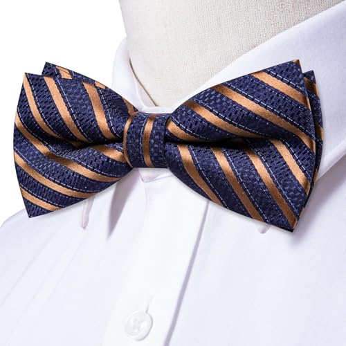Image of Dubulle Mens Paisley Striped Bowtie Set Pre-tied Bowtie for Men and Pocket Square Set Wedding Business