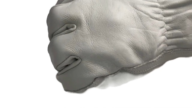 519Hw8EOBdL.jpg