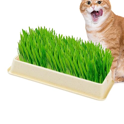 猫草栽培キット、猫草栽培ボックス、猫草播種機、水耕栽培ボックス、小麦/猫草/マット草栽培トレイ、猫草盆地、猫必需品土なし猫草キット層水耕栽培猫草、4スタイルペット用品多機能ペット病院のリビングルームペットオーナーの家 (large beige)