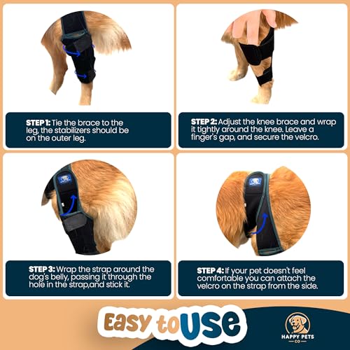 Image of Dog Knee Brace Adjustable Front Hind Leg Brace for Cruciate Ligament Injury, Luxating Patella, Torn ACL