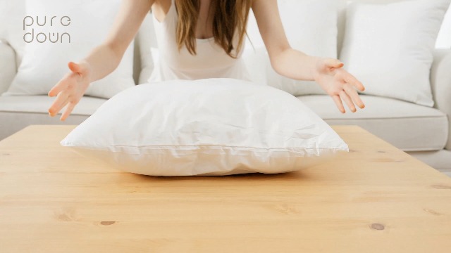 Amazon.com: puredown® Feather Down Filled 14x22 Pillow Inserts