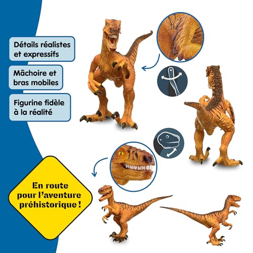 Figurine Vélociraptor SCHLEICH 15045 Dinosaurs Dès - vue 8