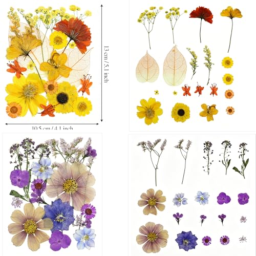 120 hojas y flores prensadas secas para manualidades miniatura 3