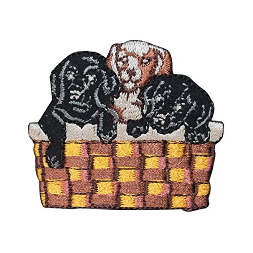 ID 2797 Puppies in Basket Patch Dog Puppy Pet Embroidered Iron On Applique