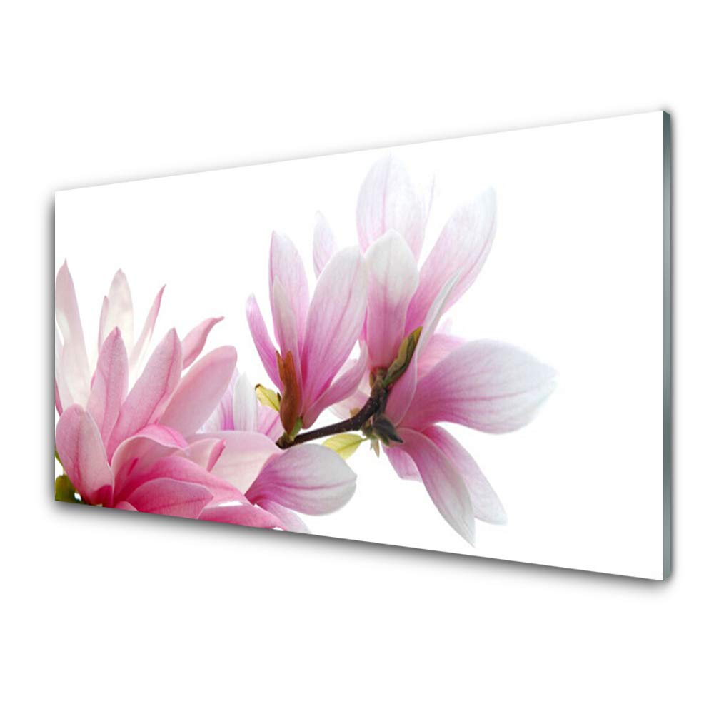 Plastique imprimés tableau décoration déco mural moderne design magnolia fleurs 125x50cm Tulup