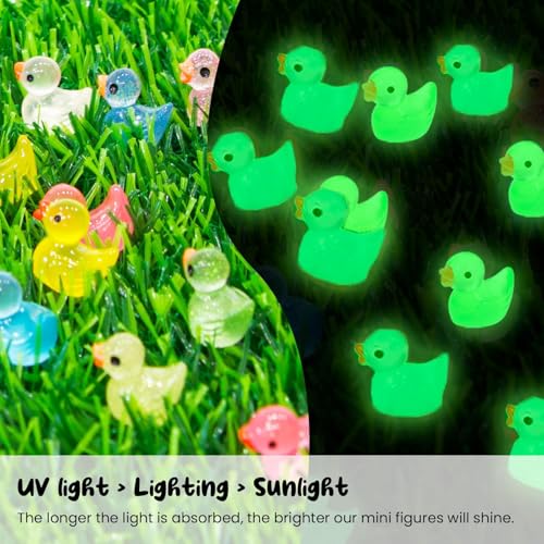 Image of FEXIA 100pcs Mini Ducks Glitter Resin Tiny Ducks Animals Figures to Hide Glow in the Dark Duck Figures for Dollhouse Aquarium Fairy Garden Decor