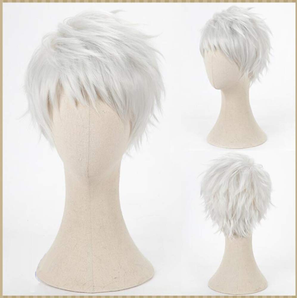 カリム　コスプレ　ツイステ　完成ウィッグ　セット済みウィッグ Amazon.co.jp: コスプレウィッグ ネット付き 耐熱 ウィッグ かつら wig