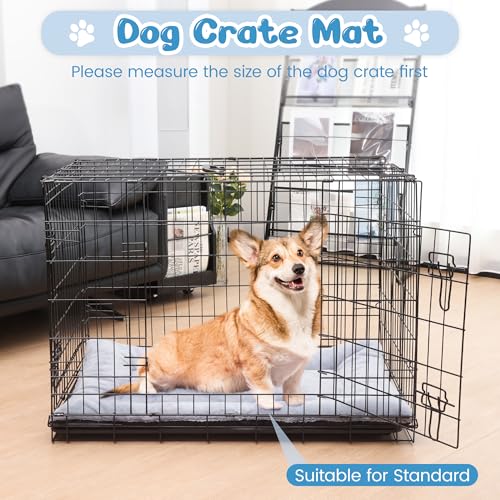 Baodan Hundebett Kleine Hunde Waschbar, 75x50 cm Hundekissen Flauschig mit rutschfeste Unterseite, Hundebetten für Kleine Mittelgroße Hunde, Grau