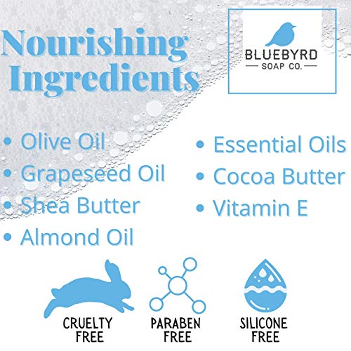 image for Bluebyrd Soap Co. Bluebyrd Kitchen Hand Soap and Lotion Set, Luxury Wa