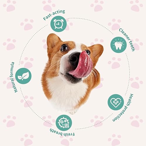 Srcasy DentaClean Spray for Dogs & Cats, No-Brush Plaque & Tartar Remover, Breath Freshener, Dentaclean for Dogs, Supports Daily Denta Hygiene, Easy Spray Use, 100ml - Image 4