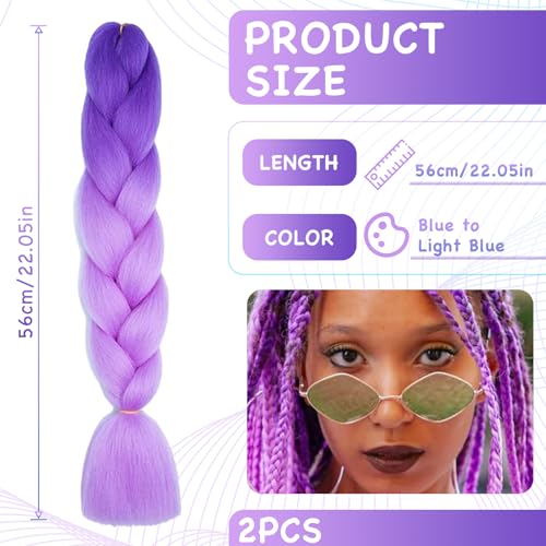 Leogony 2PCS 2 Tone Hair Extensions for Braiding Deep Purple and Light Purple Fake Braids Hair, Plait Coloured Synthetic Wig - Image 3