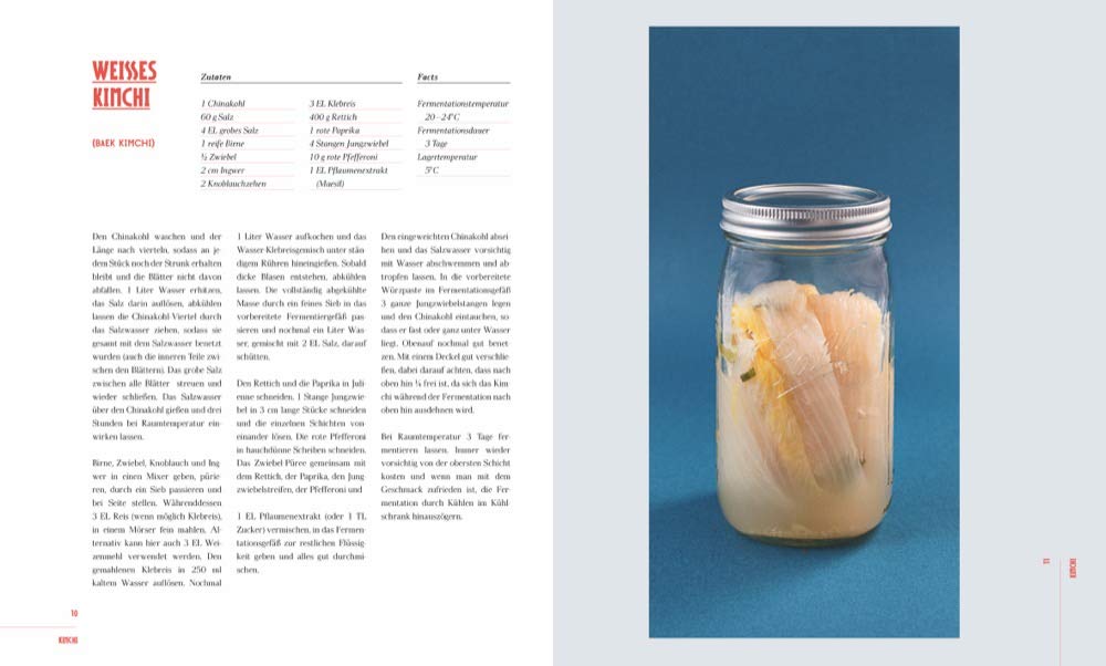 Das große Buch der Fermentation: Natürliche Produkte einfach haltbar machen