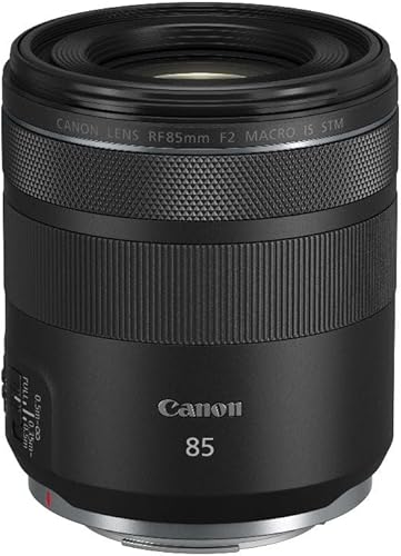 Canon RF 85mm F2 Makro is STM Porträtobjektiv Canon EOS R — nuotrauka 5
