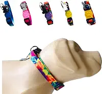 Coleira para Cachorros com Pingente para Identificação M, Tamanho Ajustável, Confortável e Resistente