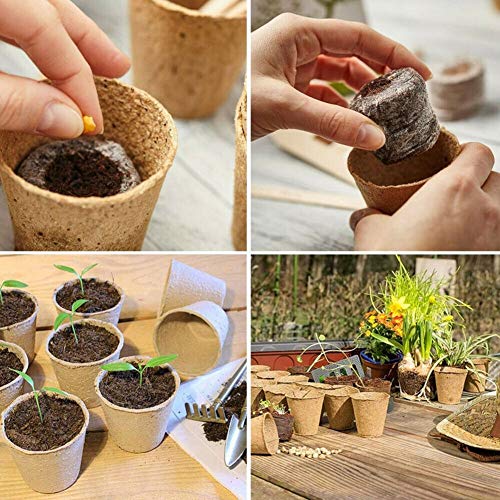 IAXSEE Pacote de 100 Potes de Turfa, Potes de Berçário Plantador Inicial de 3,15