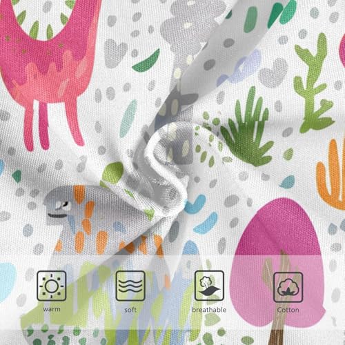 Colorful Cartoon Dinosaurs Toddler Girls's Underwear 2T 202c11963