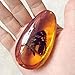Amber Fossil with Insects Samples Stones Crystal Specimens Home Decorations Collection Oval Pendant(1PCS Random Pattern)