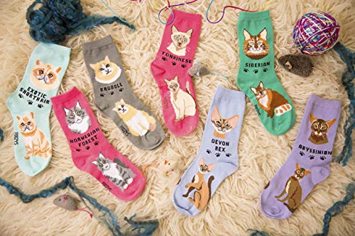 Foozys Unisex Crew Socks | Sphynx Cat Feline Novelty Socks (2 Pair) #TOP7